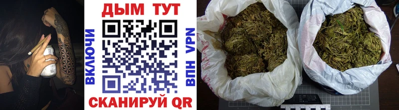 Магазины продажи наркотиков Устюжна Псилоцибиновые грибы  Экстази  Каннабис  Гашиш 