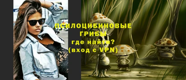 ПСИЛОЦИБИНОВЫЕ ГРИБЫ Алексеевка