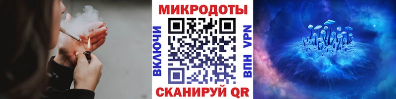 MEGA ONION  Устюжна  Псилоцибиновые грибы прущие грибы 